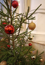 Similar image 21803386