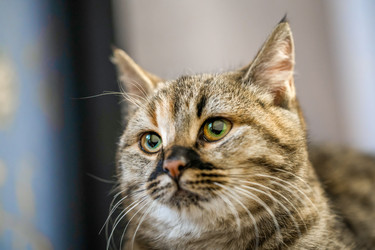 Similar image 21803518