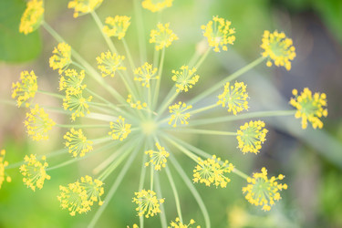 Similar image 21803521