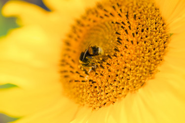 Similar image 21803523