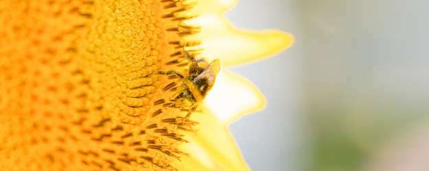 Similar image 21803524