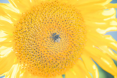 Similar image 21803526