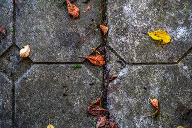 Similar image 21803528