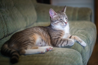 Similar image 21803534