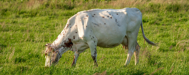 Similar image 21803536