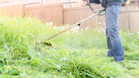 Similar image 21803548