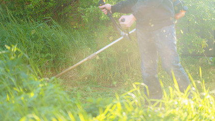 Similar image 21803549