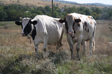 Similar image 21803398