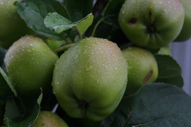 Similar image 21803399