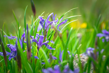 Similar image 21803557