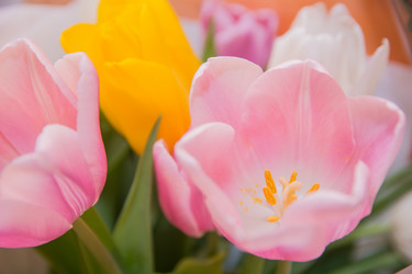 Similar image 21803567