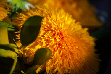 Similar image 21803572