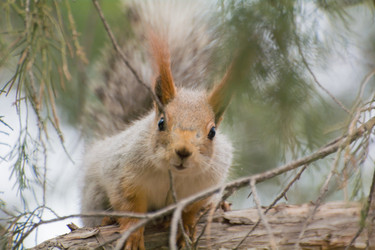 Similar image 21803573