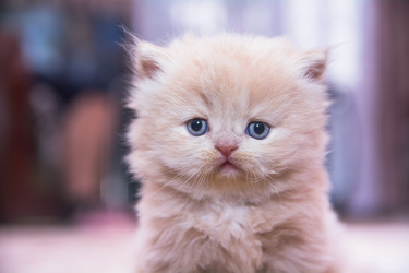 Similar image 21803574