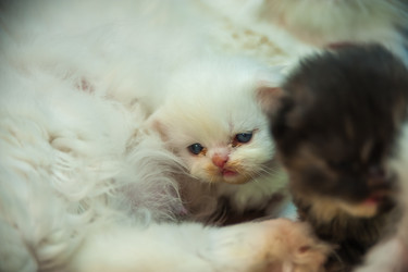 Similar image 21803577