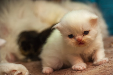 Similar image 21803578