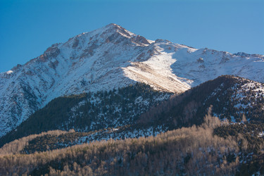 Similar image 21803579