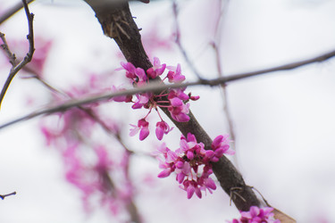 Similar image 21803580