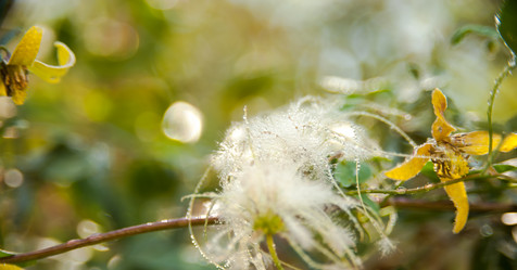 Similar image 21803583