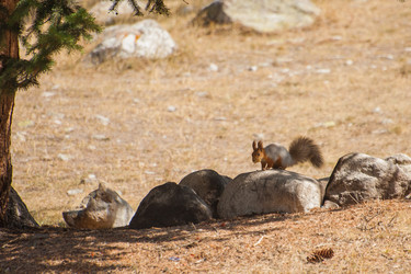 Similar image 21803584