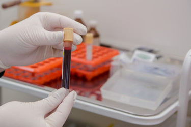 Similar image 21803590