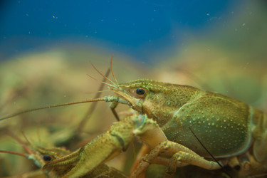 Similar image 21803595