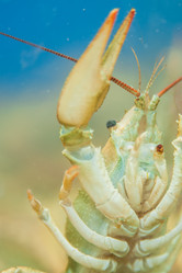 Similar image 21803597