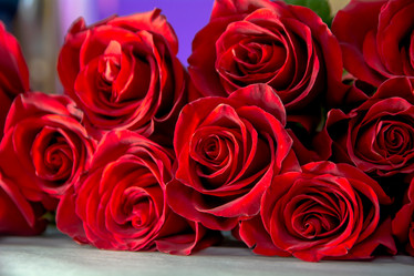 Similar image 21803599