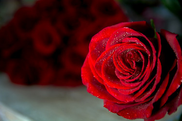 Similar image 21803600