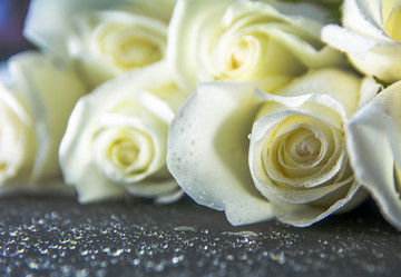 Similar image 21803601