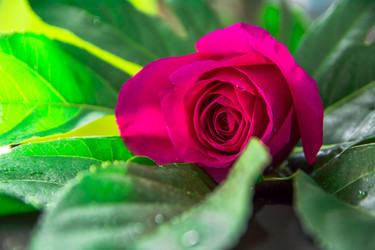 Similar image 21803603