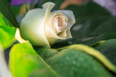 Similar image 21803604