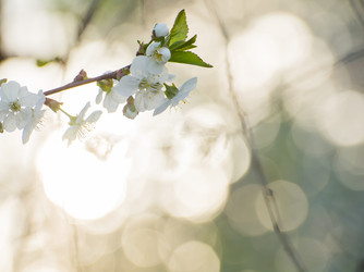 Similar image 21803605