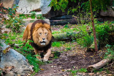 Similar image 21803719