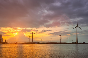 Similar image 21803720