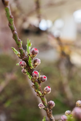 Similar image 21803402