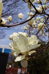 Similar image 21803403