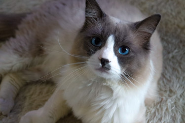 Similar image 21803404