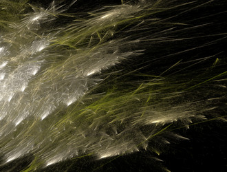 Similar image 21808925