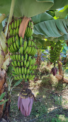 Similar image 21805809