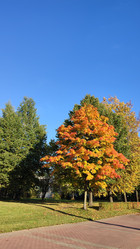 Similar image 21805810