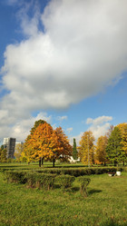 Similar image 21805811