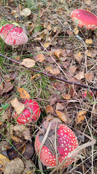 Similar image 21805816