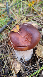 Similar image 21805817