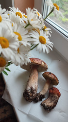 Similar image 21805819