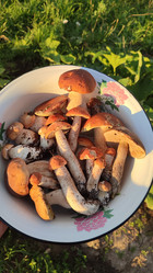 Similar image 21805822