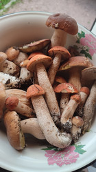 Similar image 21805823