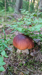 Similar image 21805824