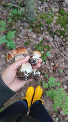 Similar image 21805825