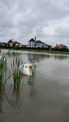 Similar image 21805828